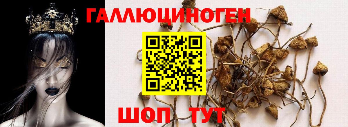Галлюциногенные грибы ЛСД Губкин