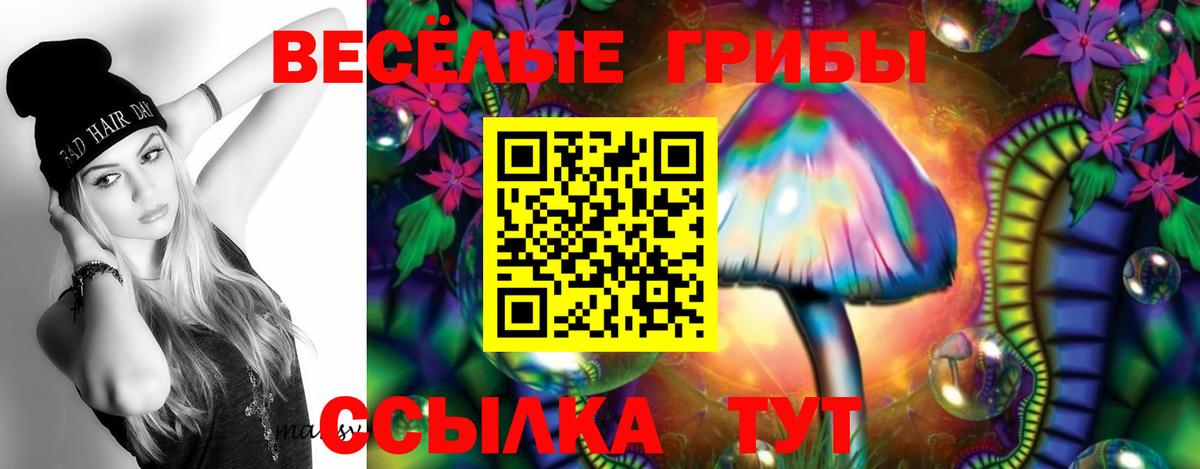 Галлюциногенные грибы Magic Shrooms  Вход с VPN  Губкин 